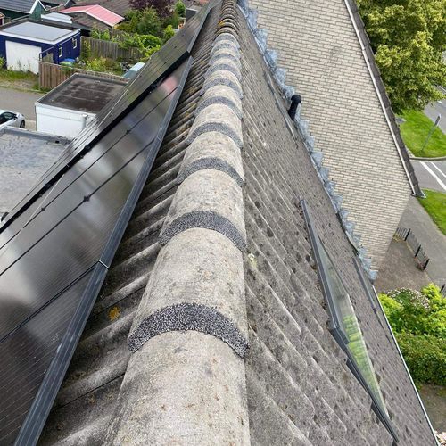 Nokvorsten zijn opnieuw vastgezet